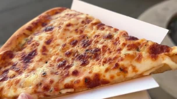 Makanan Jalanan Untuk Gadis Musim Dingin Menggigit Pizza Pada Gadis — Stok Video