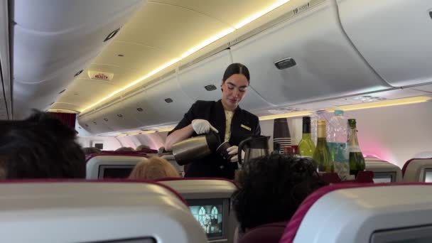 Food Plane Serving Water Logo Close People Flying Flight Eat — Stock Video