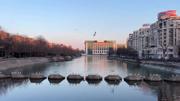 Romania Bucharest Winter Walk City Attractions Center Administrative Buildings Architecture — Stock Video