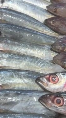 Ho Chi Minh Şehri Vietnam Deniz Ürünleri Mağazası taze buz pişirmek için farklı yiyecekler alır. Yiyecek olarak soğuk balık istiridyeleri tezgahın üstünde kurbağa ve yengeç bulundurur. Süpermarketten birkaç video seti