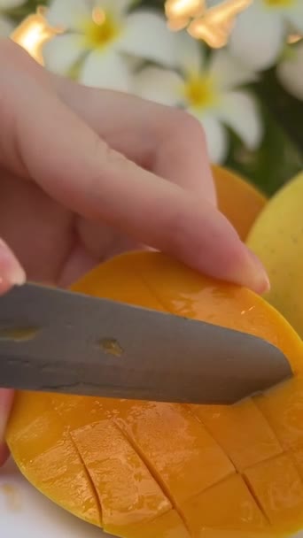マンゴーの果物を切った女性 タスティージューシーな熟したマンゴーはナイフでキューブで切りました トロピカルフルーツ マンゴービデオチュートリアルをカットする方法 健康的なコンセプトを食べること マンゴー マクロのカメラが動いている 高品質の4K映像 — ストック動画