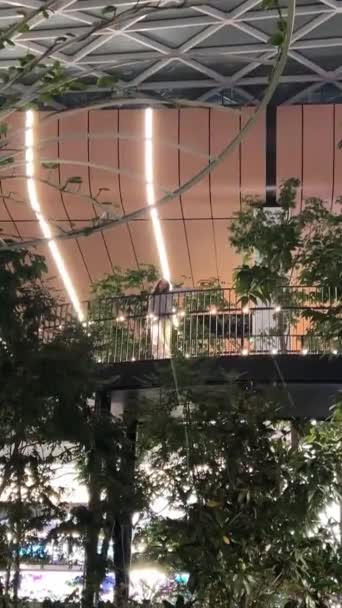 Доха Катарський Сад Тропічними Рослинами Всередині Міжнародного Аеропорту Хамад Досі — стокове відео