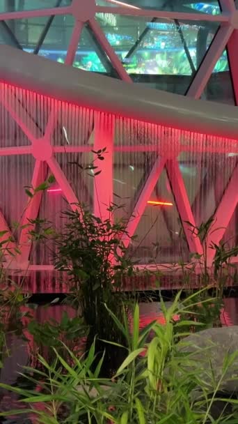 Doha Qatar Jardim Com Plantas Tropicais Dentro Aeroporto Internacional Hamad — Vídeo de Stock