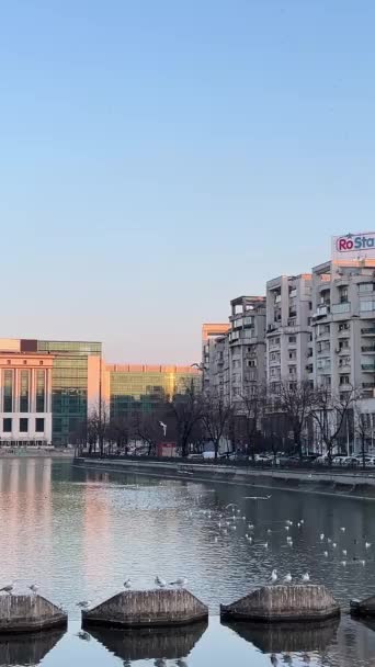 ルーマニアブカレスト 市内を散策 美しい建物ルーマニアブカレスト 2024 — ストック動画