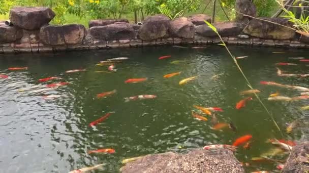 Phu Quoc Vietnam Freizeitpark Wasserpark Freizeitpark Phu Quoc Island Der — Stockvideo