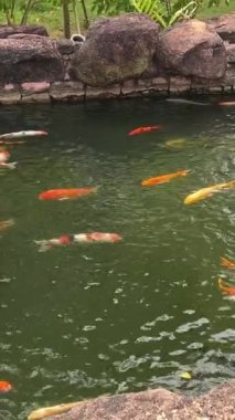 Phu Quoc, Vietnam eğlence parkı Water Park Lunaparkı Phu Quoc Adası, Güney Vietnam, Güneydoğu Asya 'daki en büyük ve en modern eğlence parkı. Teleferiğe bin.