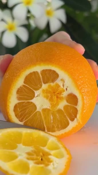 Egy Narancs Felvágása Felületén Lassított Felvételen Kiváló Minőségű Felvételek — Stock videók