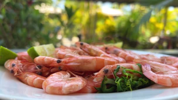 在烤炉上烤的淡水虾仁 高质量的美味虾仁 配以高粱调料和石灰在盘子里 — 图库视频影像