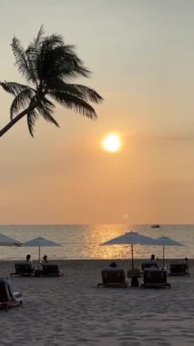 Phu Quoc Sonasea plajının cennet plajları. Palmiye ağaçları Hint Okyanusu 'nda gün batımında otellerin yakınında tatil yaparlar. Seyahat acentesi doğanın en güzel istirahatı. Rahatlama