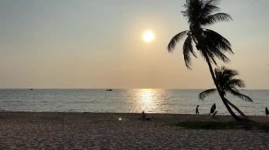 Phu Quoc Sonasea plajının cennet plajları. Palmiye ağaçları Hint Okyanusu 'nda gün batımında otellerin yakınında tatil yaparlar. Seyahat acentesi doğanın en güzel istirahatı. Rahatlama