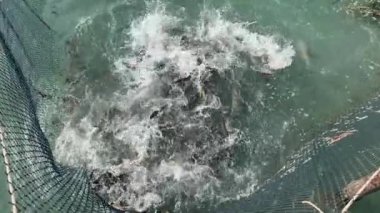 Hint Okyanusu 'ndaki balıkçı teknesindeki balıkçı evi Vietnam Pu Quoc adasında balık çiftliği yetiştiriyor. Sudaki restoran balık yakalar ağlar, ahşap evler bulutsuz gökyüzü ve sakin su