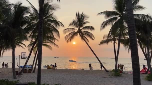 Силуетні Люди Долоні Біля Моря Захід Сонця Тропічному Білому Пляжі — стокове відео