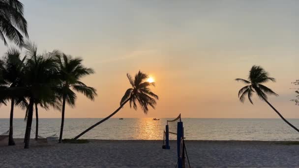 Phu Quoc Sonaseaビーチのパラダイスビーチ パームツリー 海の日没インド洋ラグジュアリー休暇ホテル近く 旅行代理店は自然の休息の美しさを目的としています リラックス — ストック動画