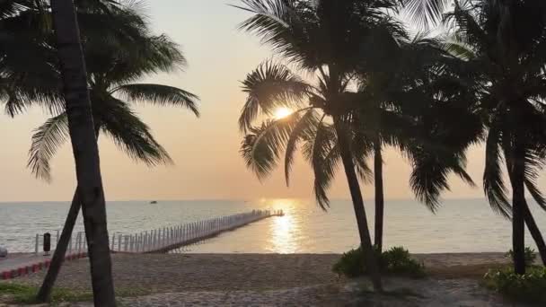 Plaje Paradisiace Din Plaja Phu Quoc Sonasea Palmieri Apus Soare — Videoclip de stoc