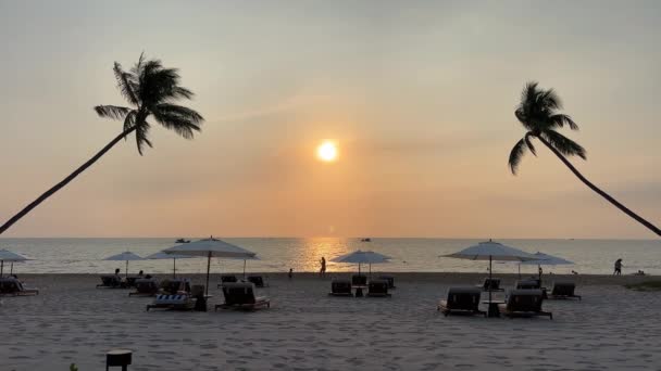 Райские Пляжи Пляжа Phu Quoc Sonasea Пальмы Моря Закат Индийского — стоковое видео