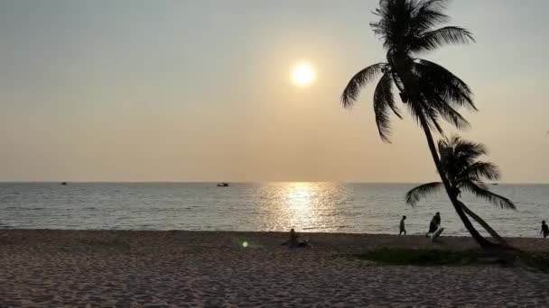 Paradis Plages Phu Quoc Sonasea Plage Palmiers Coucher Soleil Sur — Video