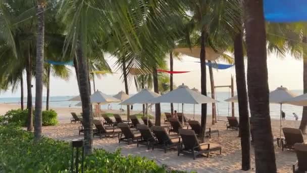 福冈的天堂海滩 库库索纳西亚海滩 棕榈树海日落印度洋豪华度假酒店附近 旅行社目的地自然美休息 放松点 — 图库视频影像
