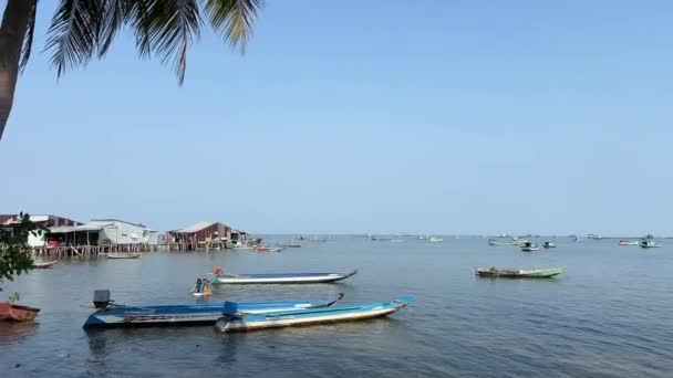 인도양 물고기 베트남 Phu Quoc 성장합니다 레스토랑 물고기 구름없는 하늘과 — 비디오