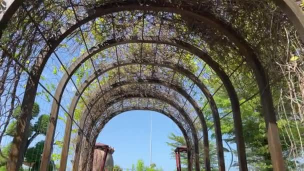 Vietnam Grand World Phu Quoc Esculturas Cascadas Fuentes Famoso Complejo — Vídeo de stock