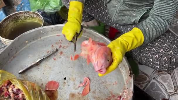 Tilapia Ryba Apostoła Piotra Chrystusa Ryby Wietnamski Rynek Sprzedawca Ogłusza — Wideo stockowe