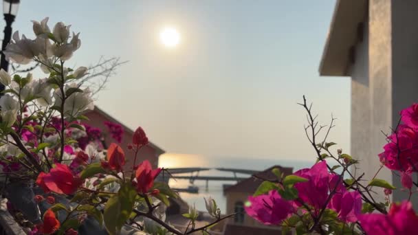 越南府口岛上的日落镇 快速开发的欧洲城市副本 令人惊奇的未来度假胜地之间美丽的阳光让人想起了意大利 — 图库视频影像