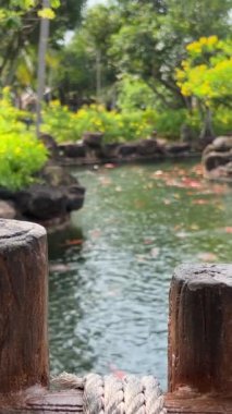 Phu Quoc, Vietnam eğlence parkı Water Park Lunaparkı Phu Quoc Adası, Güney Vietnam, Güneydoğu Asya 'daki en büyük ve en modern eğlence parkı. Teleferiğe bin.