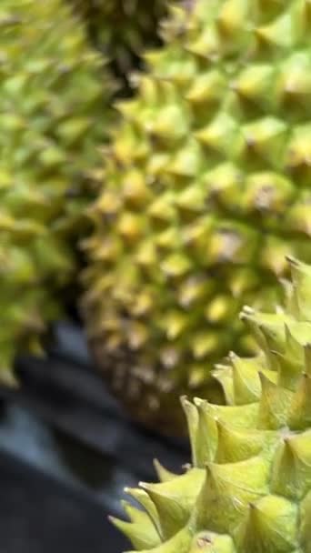 Mercato Durian Durian Sul Retro Pick Pronto Vendita Filmati Alta — Video Stock