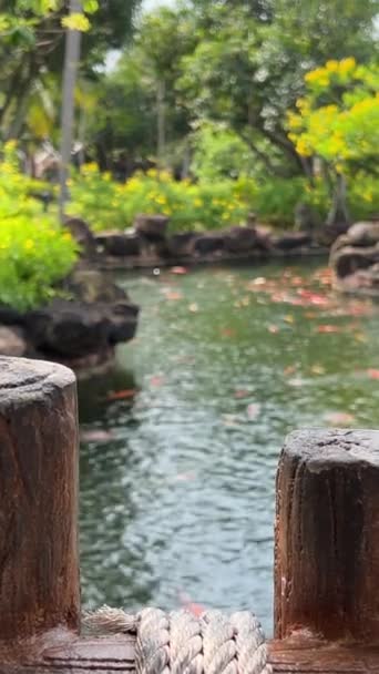 Phu Quoc Vietnam 유원지 Water Park 유원지 Phu Quoc Island — 비디오