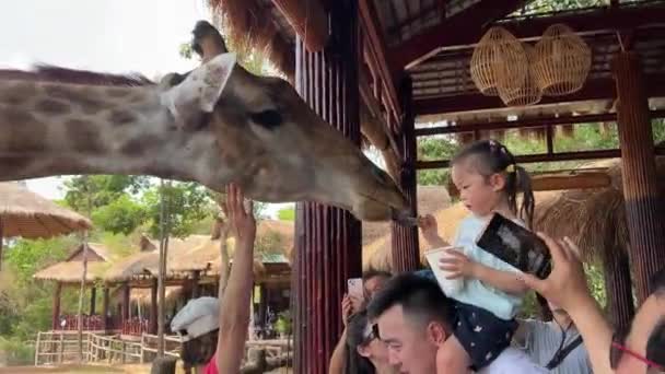 Contact Center Tourist Destination Grand World Safari Restaurant Giraffes People — Stock Video