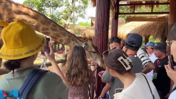 Kontakt Centrum Turystycznym Grand World Safari Restauracja Żyrafami Ludzie Karmienie — Wideo stockowe