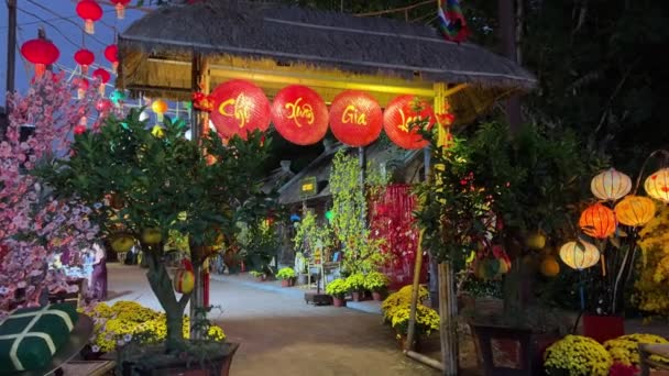 Paradis Nouvelle Destination Touristique Asie Avec Une Beauté Indescriptible Nuit — Video