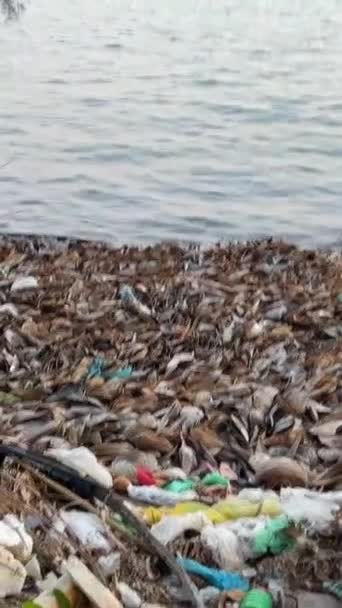 在越南的Phu Quoc岛上 海难的泥浆把各种塑料物体抛向大海 弄脏了 野生海滩将很快成为酒店 一个建设的地方 渔船箱 — 图库视频影像
