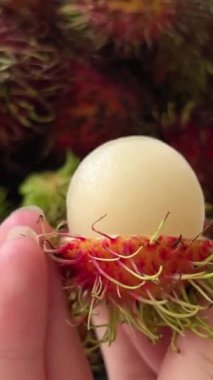 Eller egzotik bir şeyi açmanın etkili bir yolunu gösteriyor. Tropik rambutan meyvesi. Kapatın. Video 4k. Yüksek kalite 4k görüntü