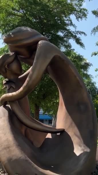 Sculptures Cascades Fontaines Célèbre Divertissement Divertissement Complexe Commercial Province Kien — Video