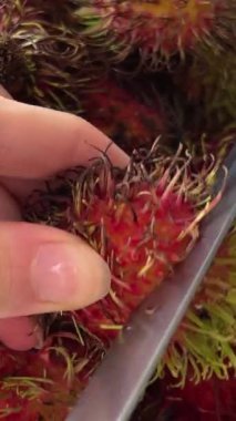 Ahşap arka planda yeşil yapraklı taze Rambutan, manzarayla ilgili. Yüksek kalite 4k görüntü