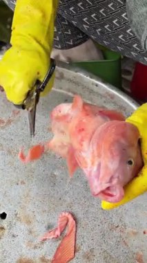 Havari Peter İsa 'nın Tilapia balığı Vietnam pazarında balık tutar satıcı balığı sersemletir ve temizler. 