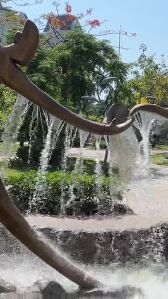 Єтнам Великий Світ Фукуок Скульптури Водоспади Фонтани Знаменитий Розважальний Розважальний — стокове відео