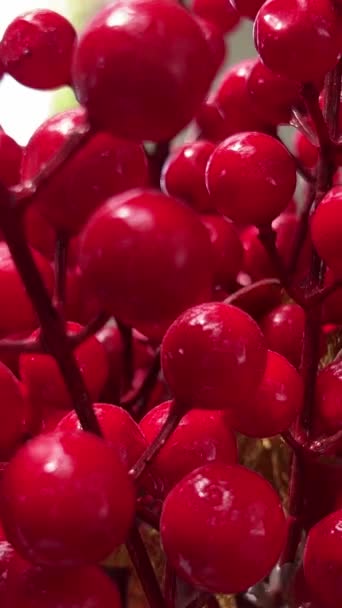 Mesterséges Dekoráció Műanyag Gyönyörű Dísz Vörös Viburnum Vagy Guelder Rózsa — Stock videók