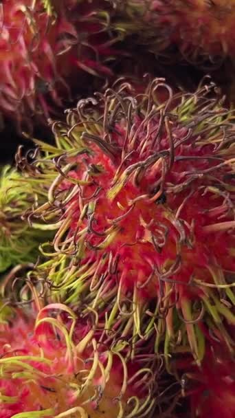 Indian Ayurveda Medicated Fruits Closeup Rambutan Fruit High Quality Footage — Stock Video