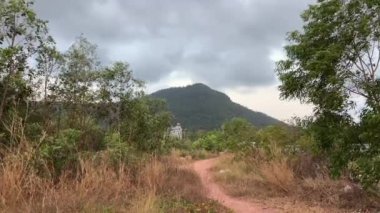 Palmiye ağaçları, okyanus çimen yetiştirir. Vietnam Dağı Phu Quoc Adası Nehir Bölgesi Yeni bir bina için el değmemiş doğa bölgesi