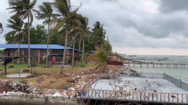 Palmiye ağaçları, okyanus çimen yetiştirir. Vietnam Phu Quoc Adası Nehir Bölgesi yeni bir bina için el değmemiş doğa bölgesi