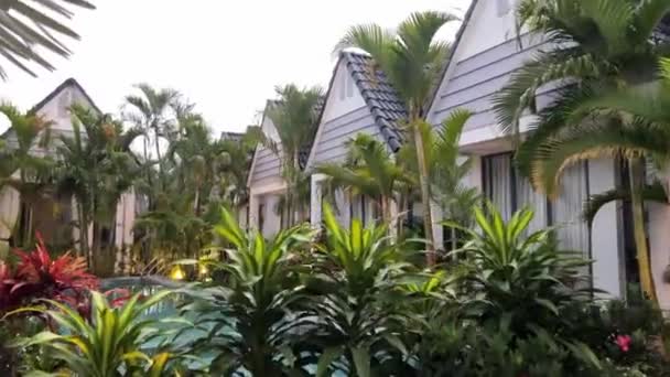 Palm Trees Swaying Modern Apartment Complex High Quality Footage — Stock Video