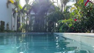 Göleti ve güzel bungalovları olan tropik bir bahçe. Havuz evleri tropik bölgeler. Yüksek kalite 4k görüntü