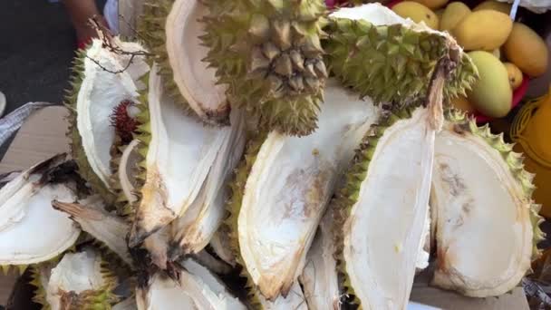 Fourrure Durian Durians Fruits Populaires Durian Plantation Durians Sont Roi — Video