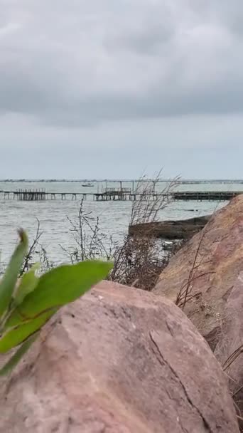 パームツリー 海洋植物は草を植えます ベトナムフーコック島の川は 新しい建物のための手つかずの自然の場所を放棄しました — ストック動画