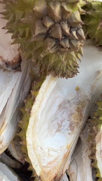 Furry Durian Durians Népszerű Gyümölcsök Durian Ültetvény Durians Gyümölcs Királya — Stock videók