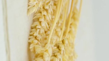 Yakın çekim rotasyonu Ekmek, beyaz arka planda hala hayat, izole bir masada dönen ekmekli buğday başakları. Yulaf ezmeli tavuk yumurtası. Yüksek kalite 4k görüntü