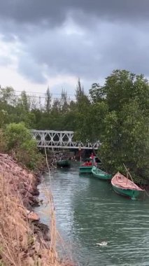 Palmiye ağaçları, okyanus çimen yetiştirir. Vietnam Dağı Phu Quoc Adası Nehir Bölgesi Yeni bir bina için el değmemiş doğa bölgesi