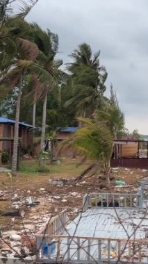 Palmiye ağaçları, okyanus çimen yetiştirir. Vietnam Phu Quoc Adası Nehir Bölgesi yeni bir bina için el değmemiş doğa bölgesi
