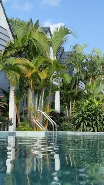 Jardín Tropical Con Estanque Hermosos Bungalows Bungalows Piscina Trópicos Imágenes — Vídeos de Stock
